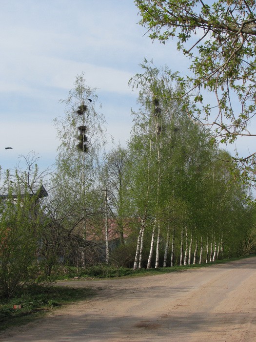 04.05.2008 15:51:17