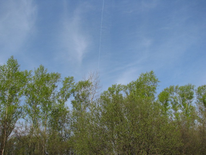 04.05.2008 15:51:30