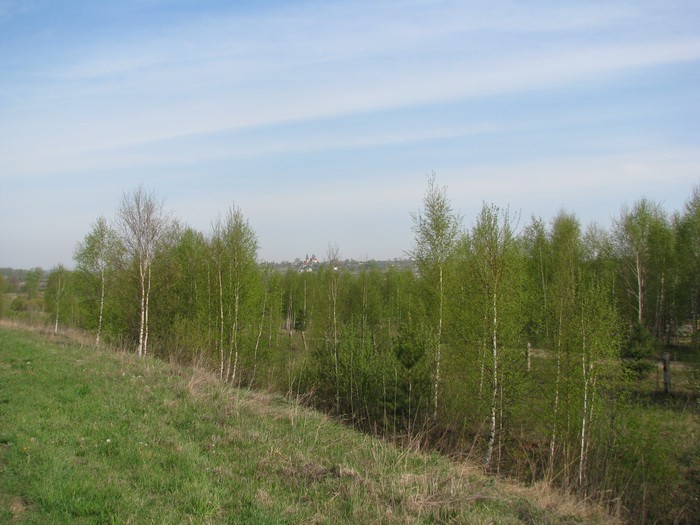 04.05.2008 15:53:44