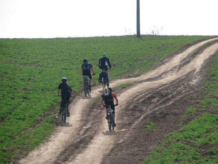 04.05.2008 15:53:54