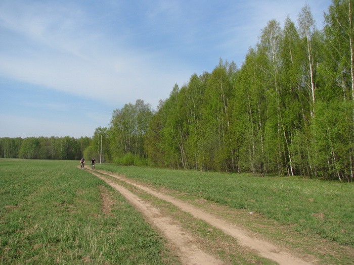 04.05.2008 15:54:04