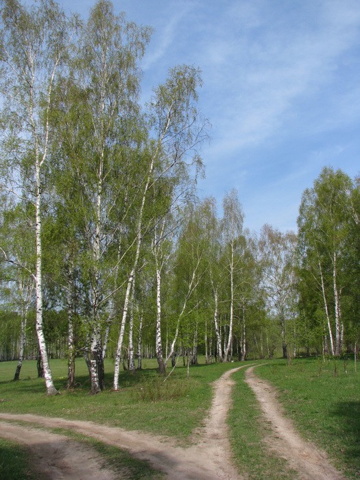 04.05.2008 15:54:26