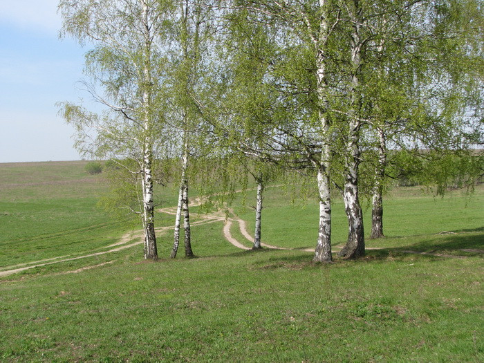 04.05.2008 15:54:32