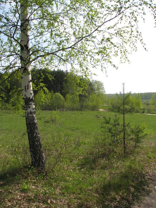 04.05.2008 15:54:36
