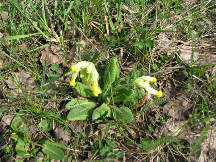 04.05.2008 15:55:34