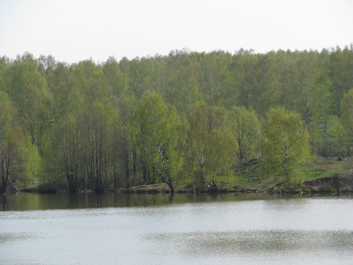 04.05.2008 15:56:27