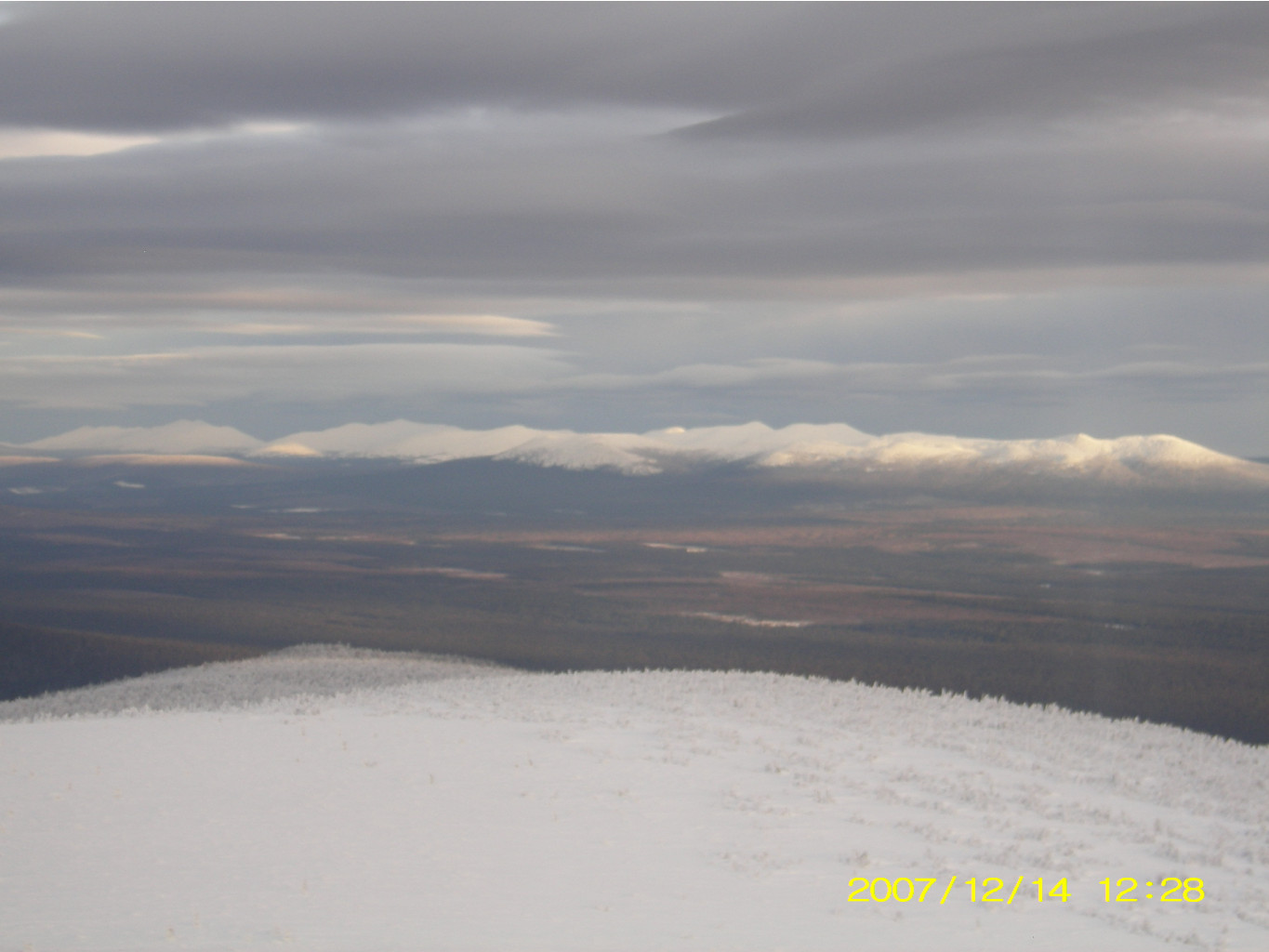 SL553930.JPG