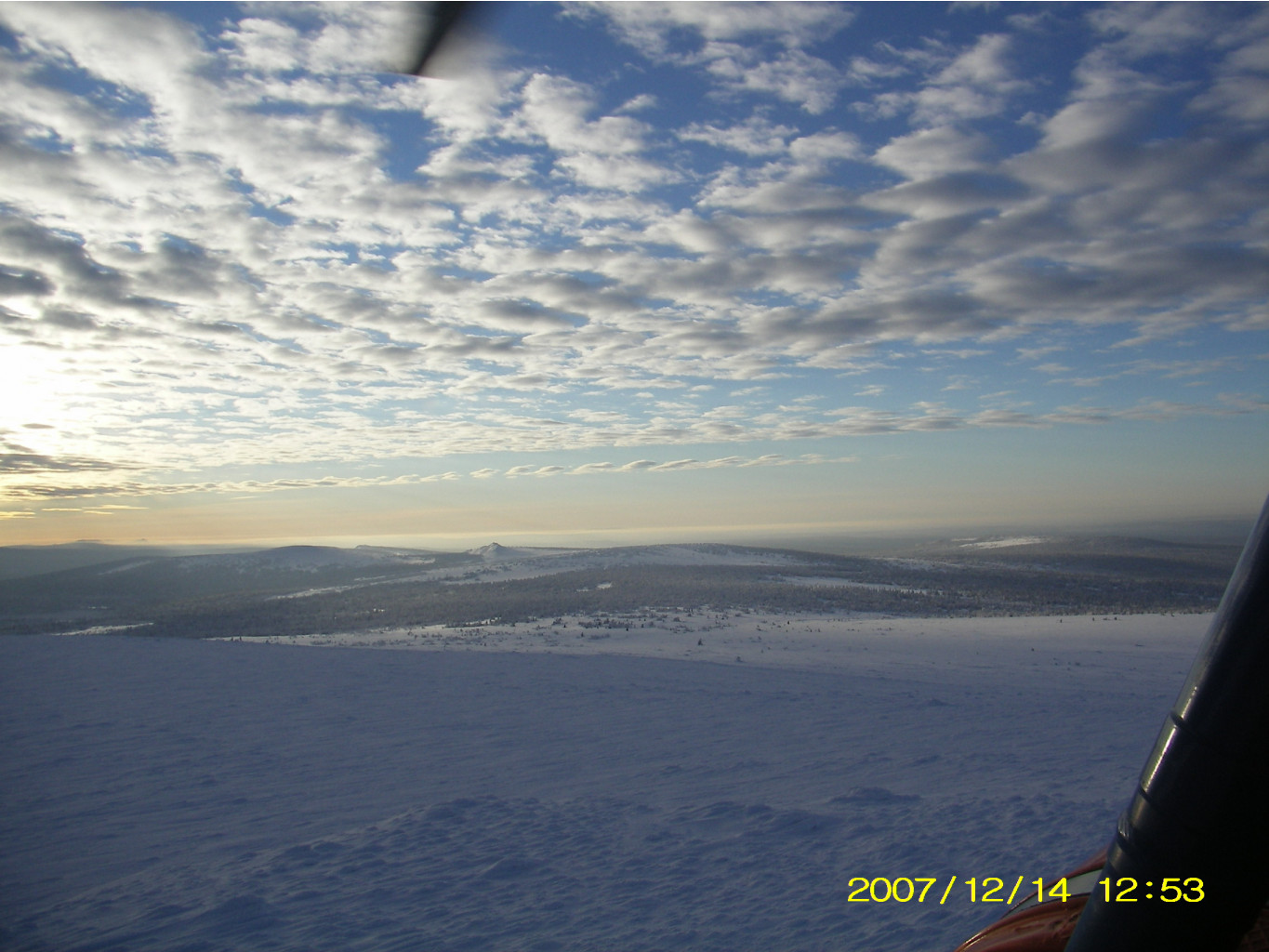 SL553941.JPG
