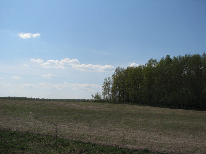 04.05.2008 15:59:53