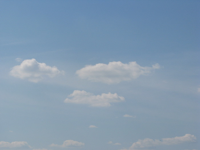 04.05.2008 15:59:56