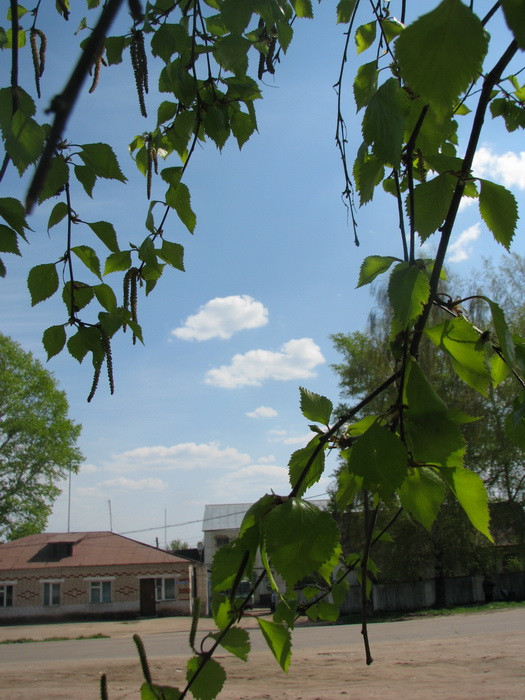 04.05.2008 16:03:59