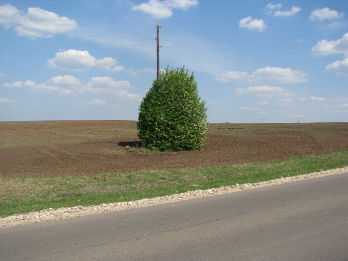 04.05.2008 16:04:35