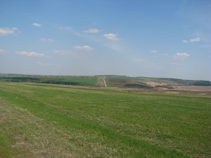 04.05.2008 16:05:20