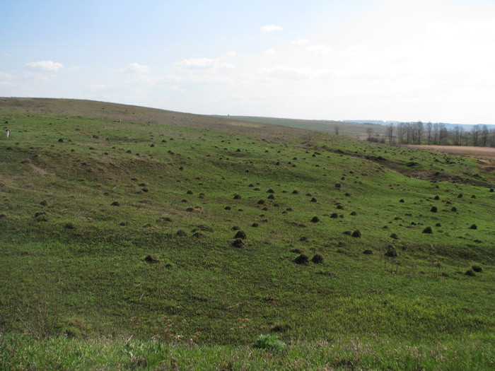 04.05.2008 16:05:24