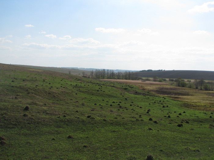 04.05.2008 16:05:32
