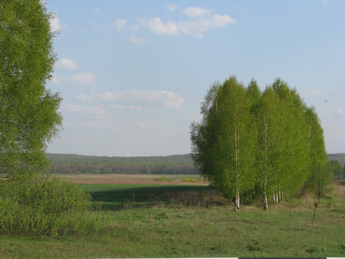 04.05.2008 16:08:47