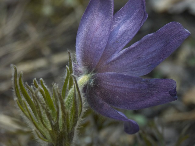 04.05.2008 18:44:09