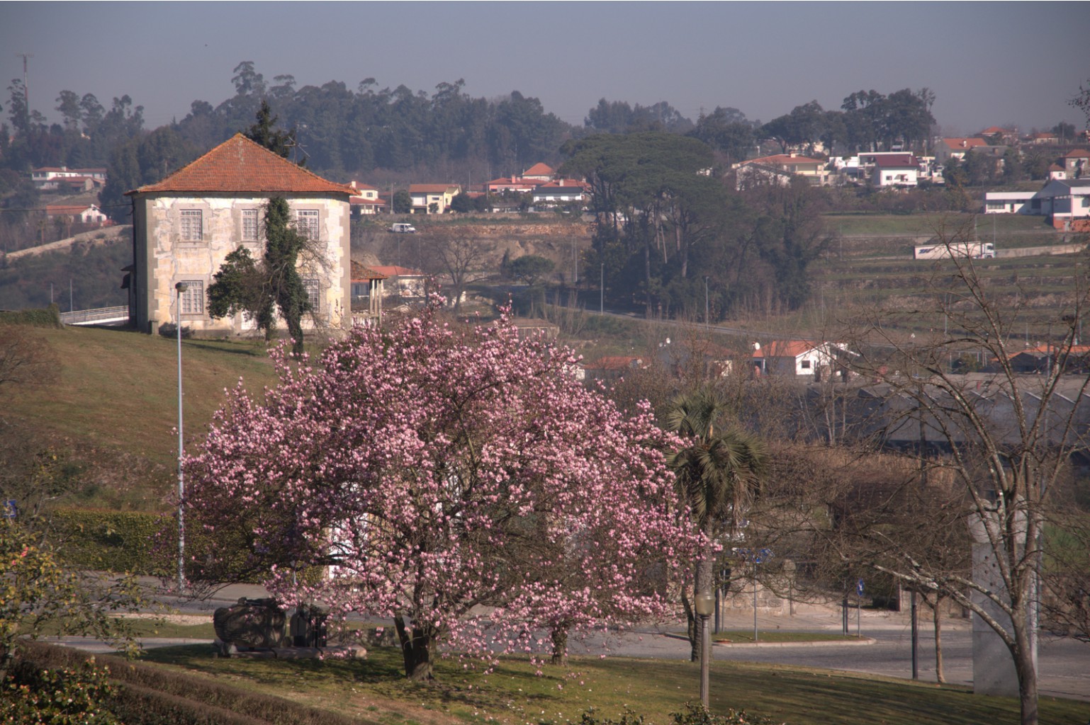 Portugal835.jpg