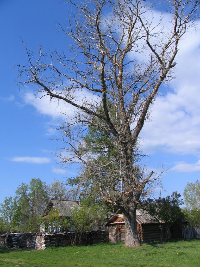 11.05.2008 22:18:53