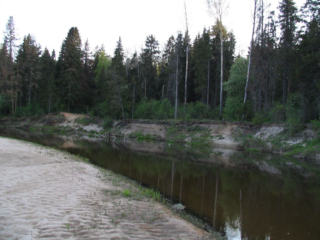11.05.2008 22:19:56