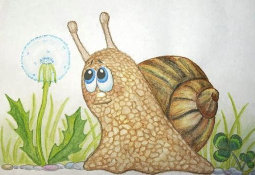 snail.jpg