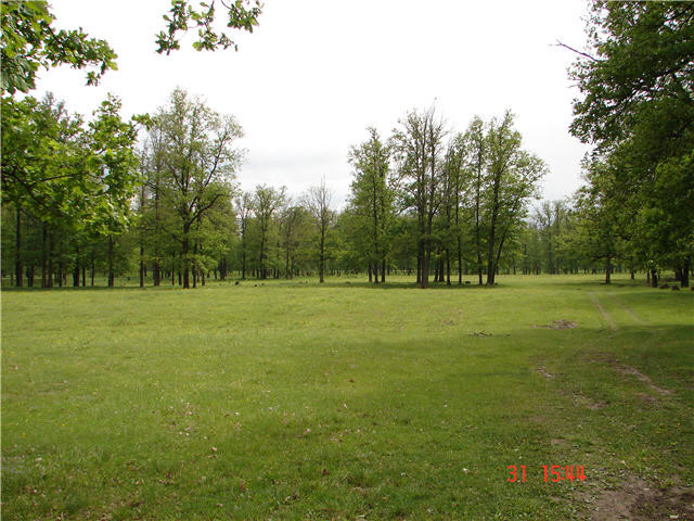 03.06.2008 22:09:24