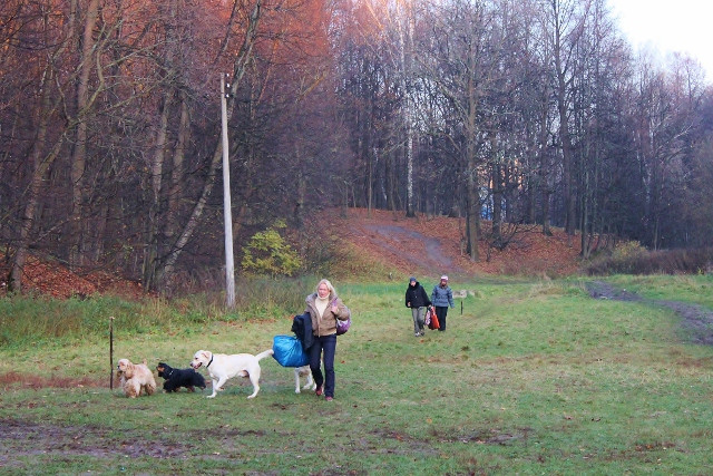 1 370 (640x427).jpg