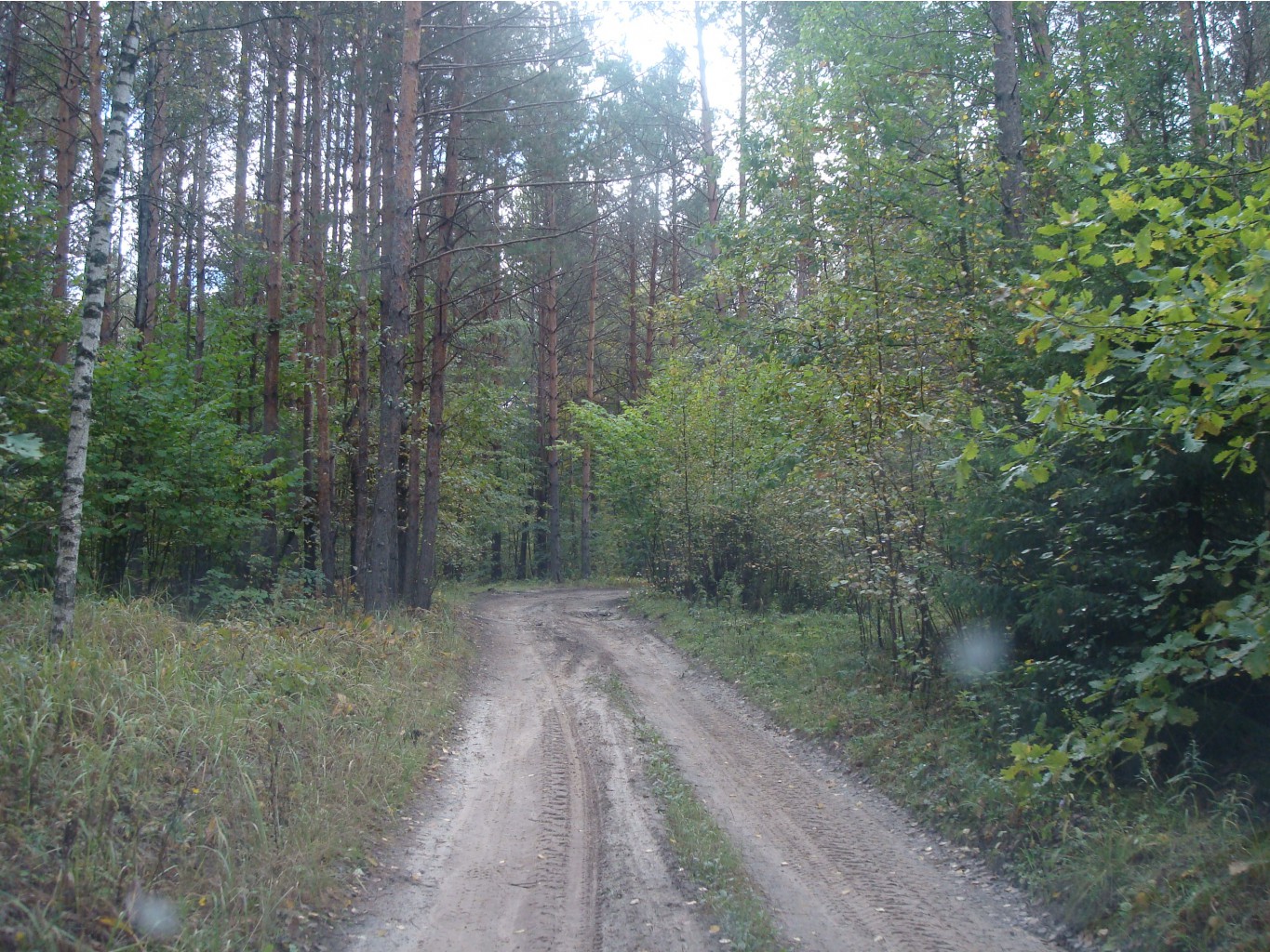 DSC09001.JPG