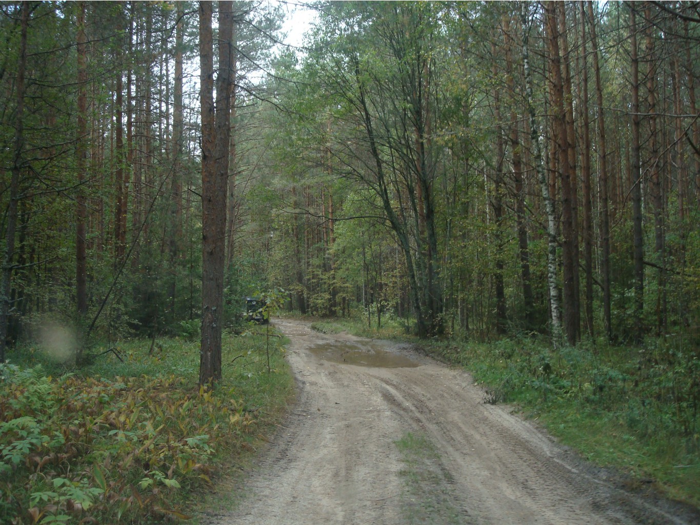 DSC09002.JPG