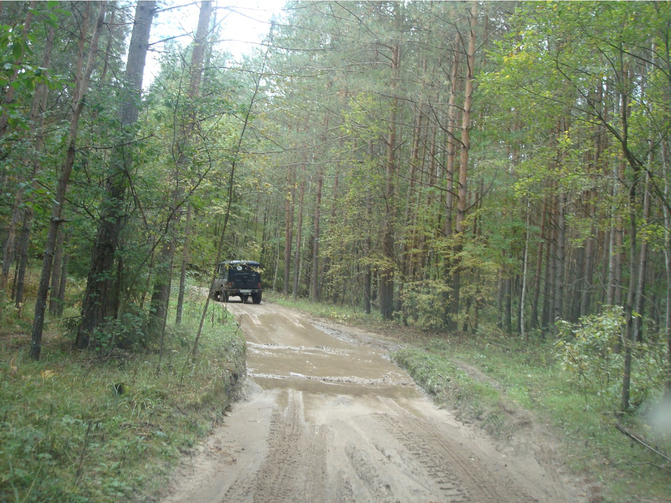 DSC09003.JPG