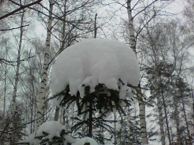 100_0075.JPG