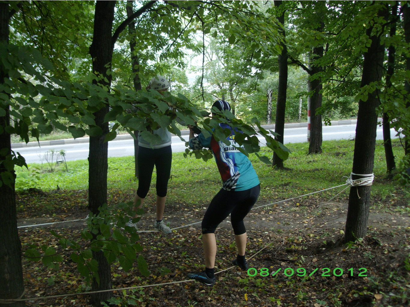 IMGP3912.JPG