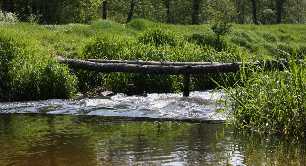 16.06.2008 12:54:44