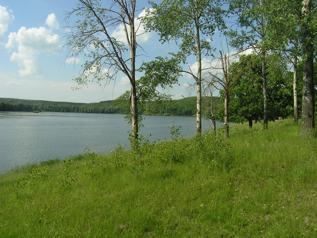 17.06.2008 16:06:04