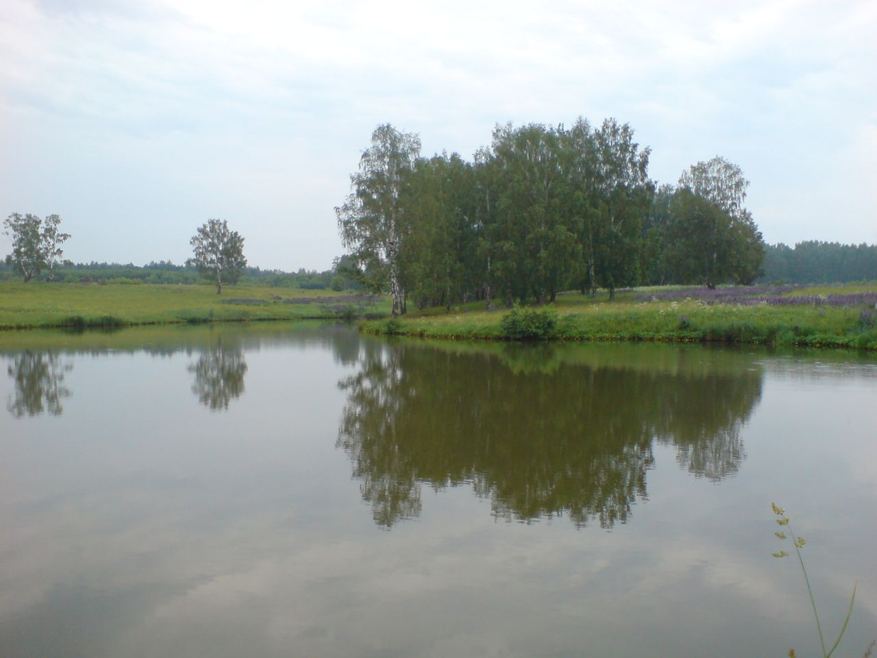 23.06.2008 11:10:49