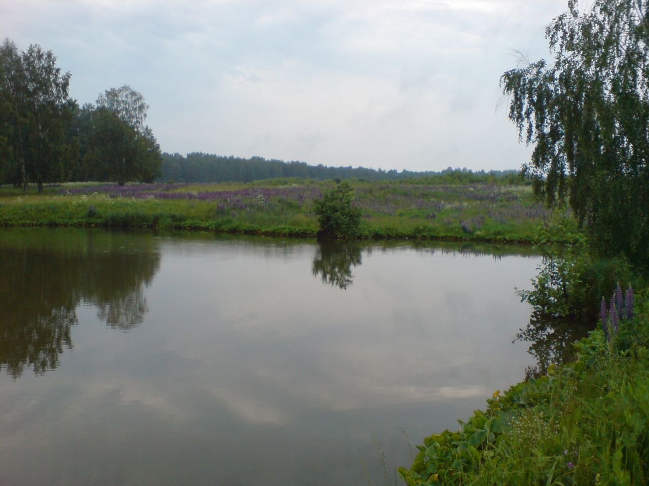 23.06.2008 11:10:55