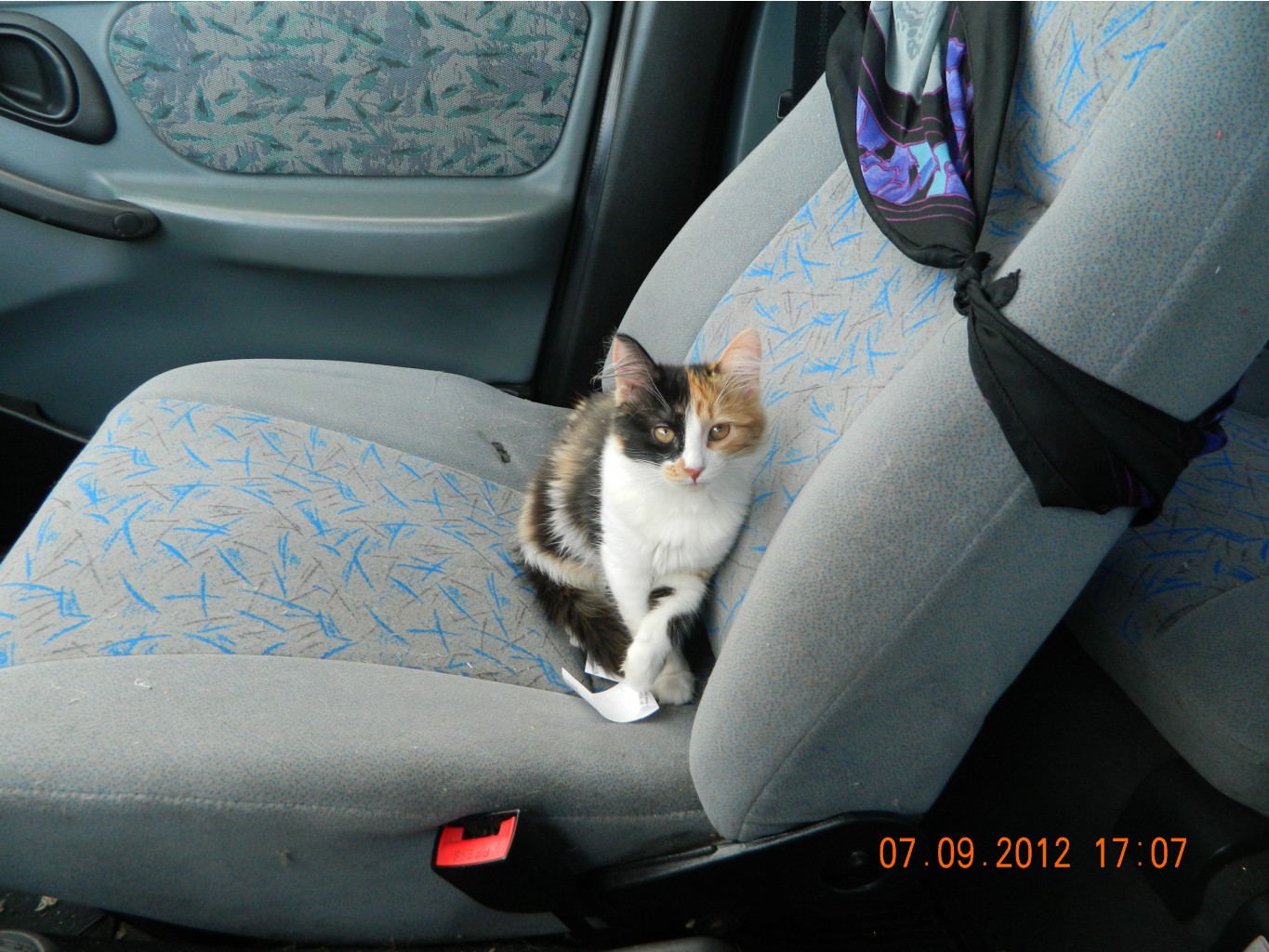 DSCN3084.JPG