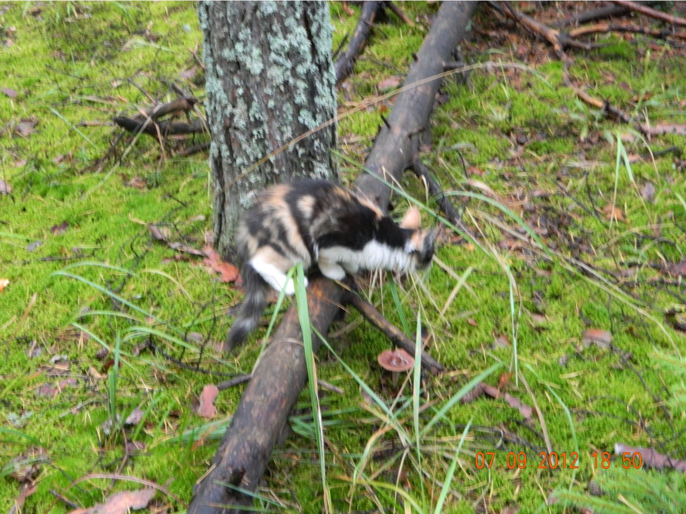 DSCN3087.JPG