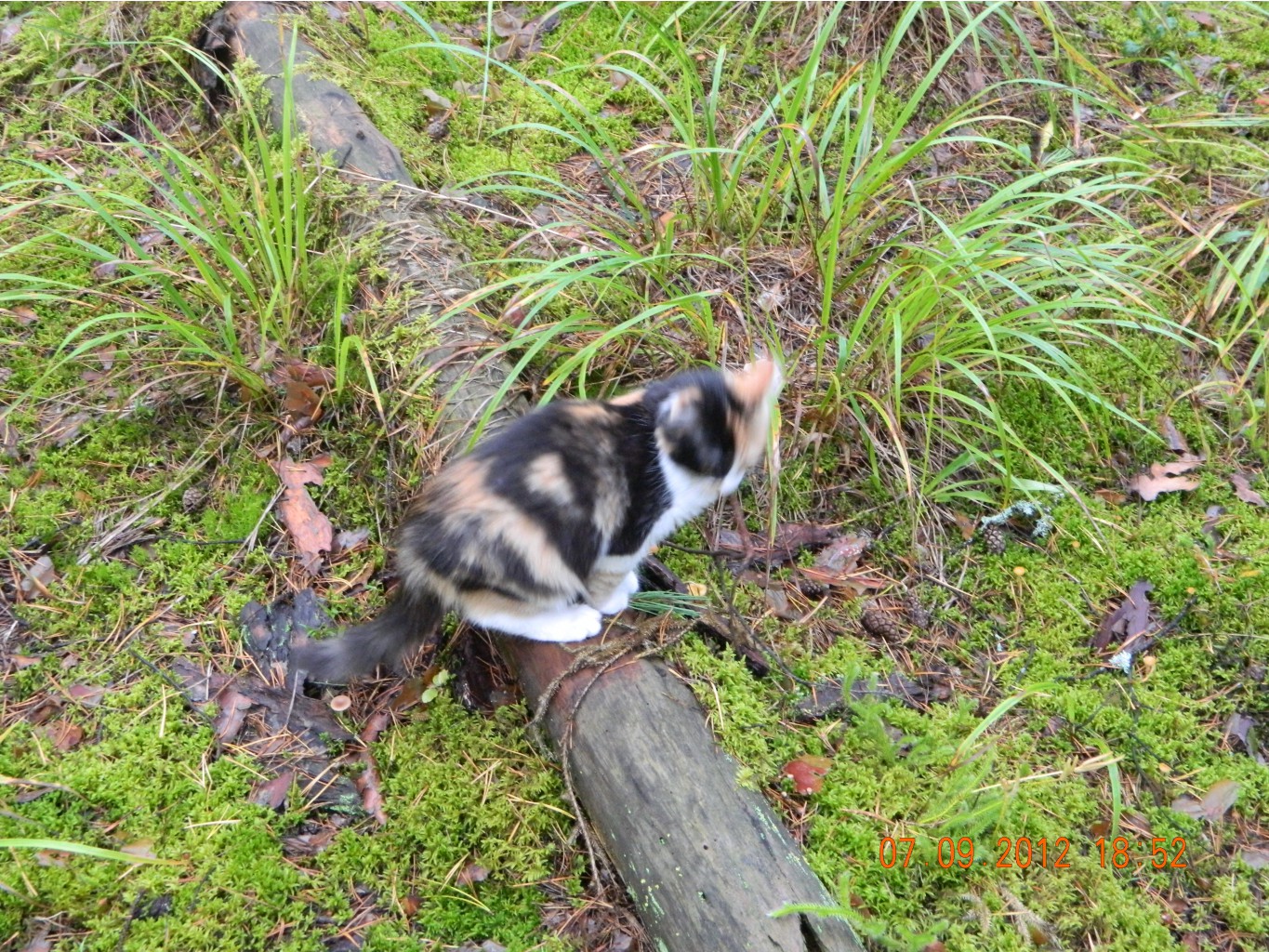 DSCN3091.JPG