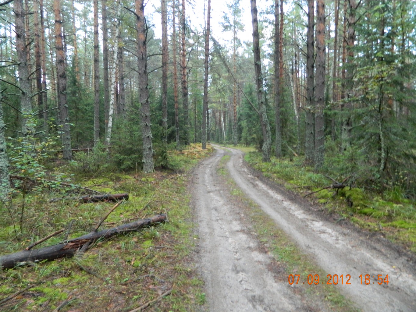 DSCN3095.JPG