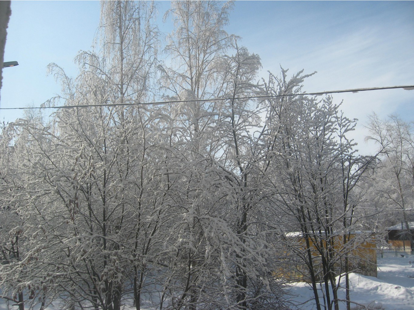 IMG_0207.JPG