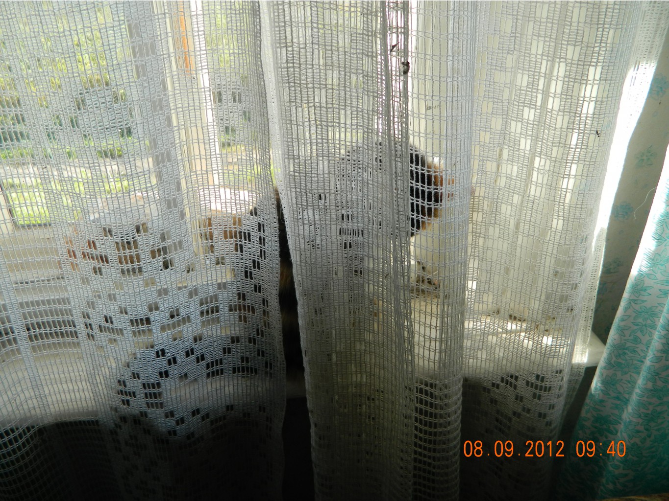 DSCN3096.JPG