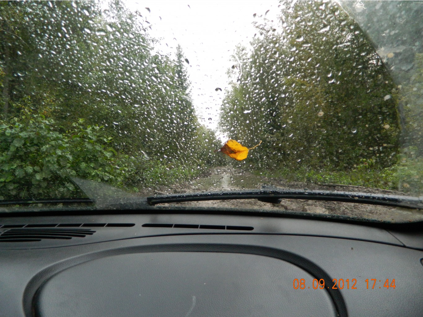 DSCN3141.JPG