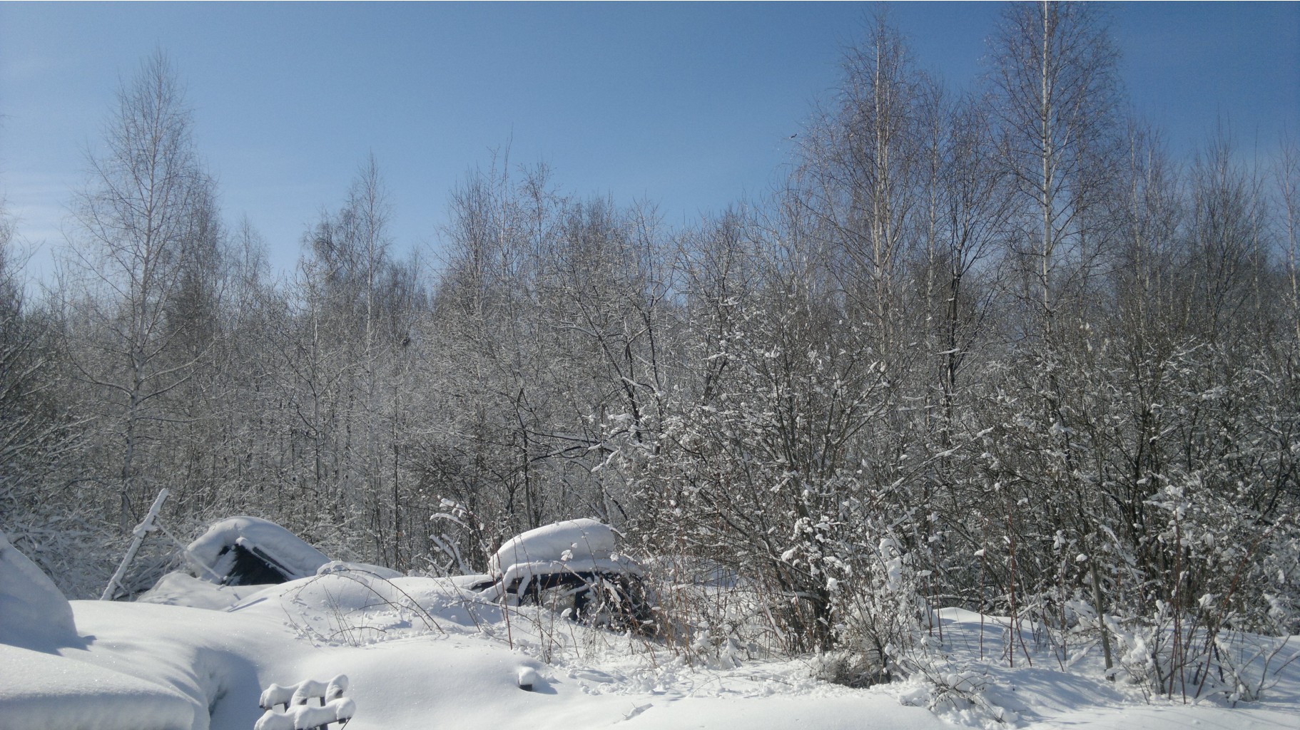 02042012462.jpg