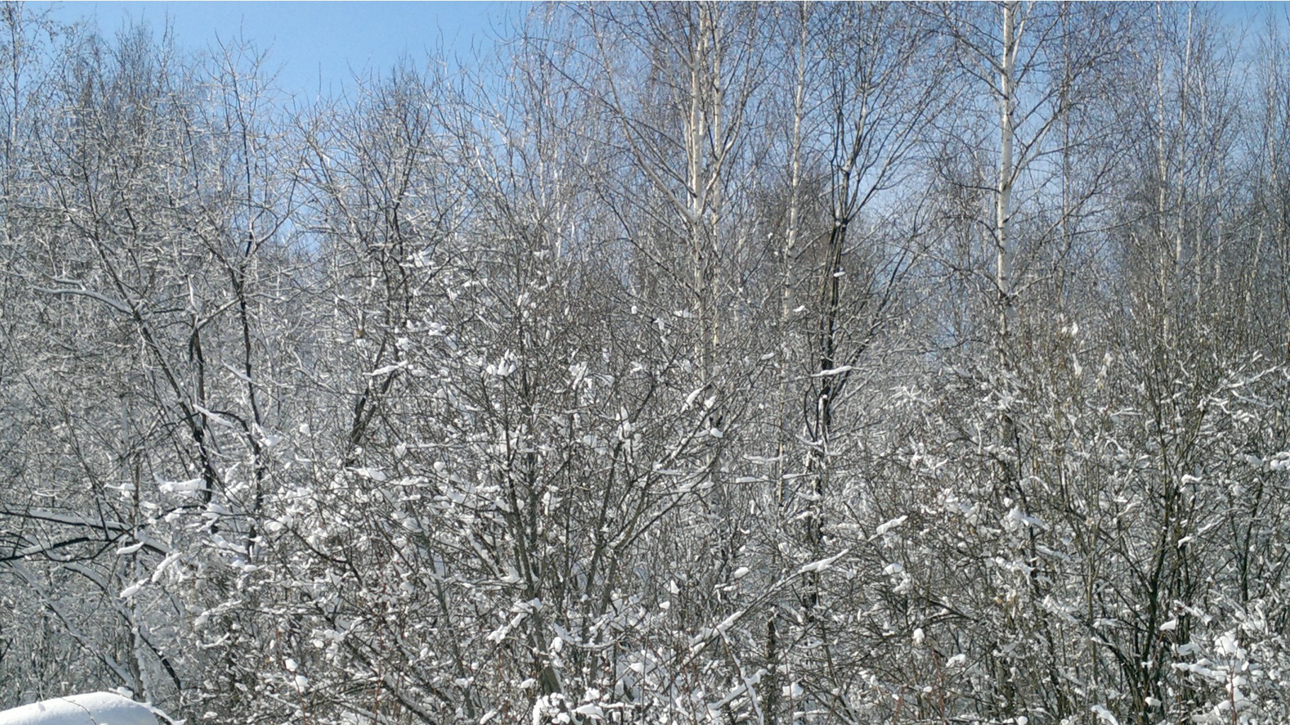 02042012463.jpg