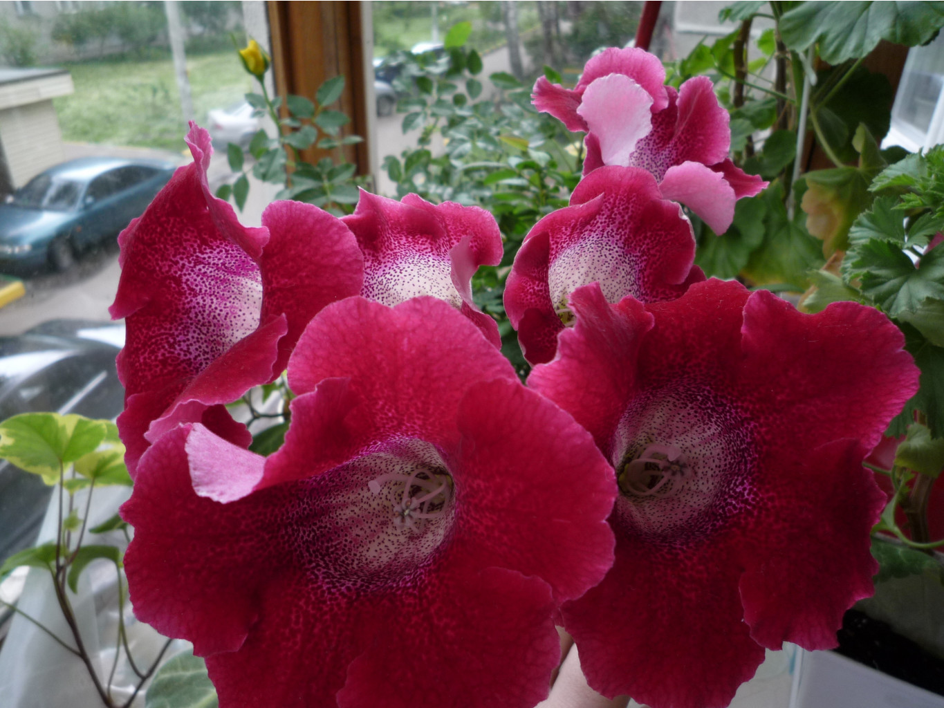 P1030026.JPG