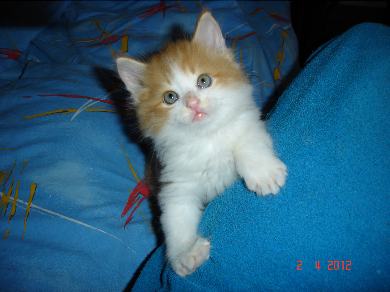 DSC01407.JPG