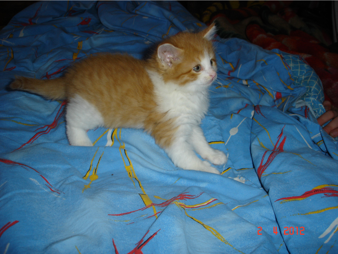 DSC01408.JPG