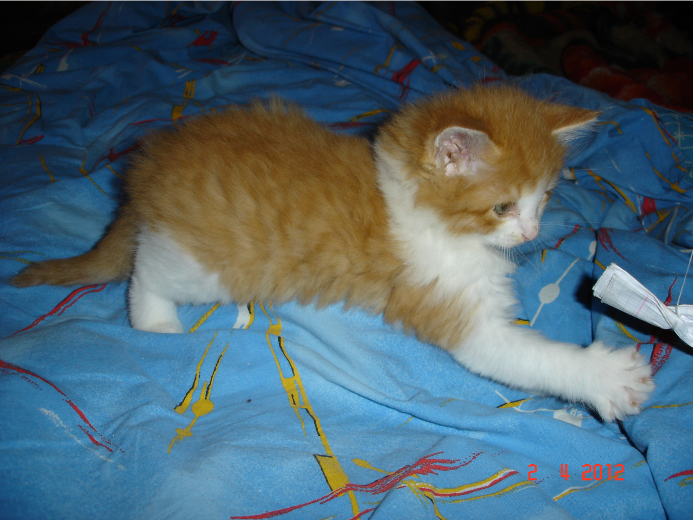 DSC01409.JPG