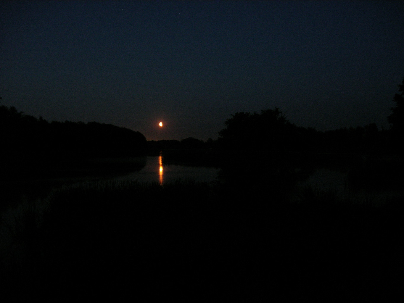 03.07.2010 13:59:22